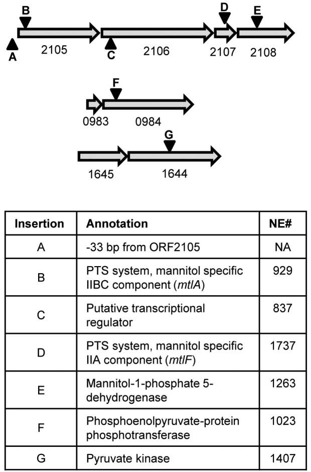 FIG 4 