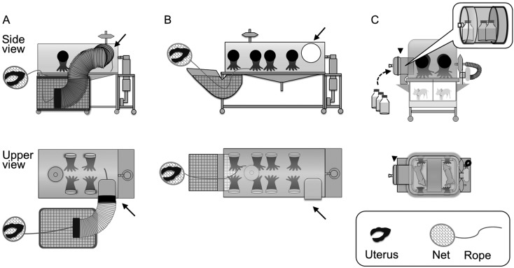 Fig. 1.