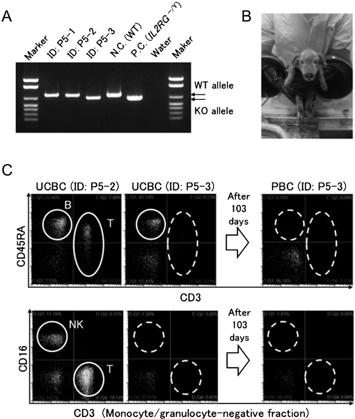 Fig. 3.