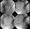 Figure 4A-D.
