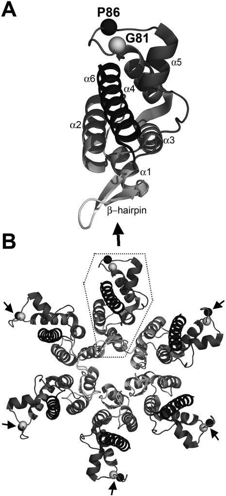 FIG. 6.