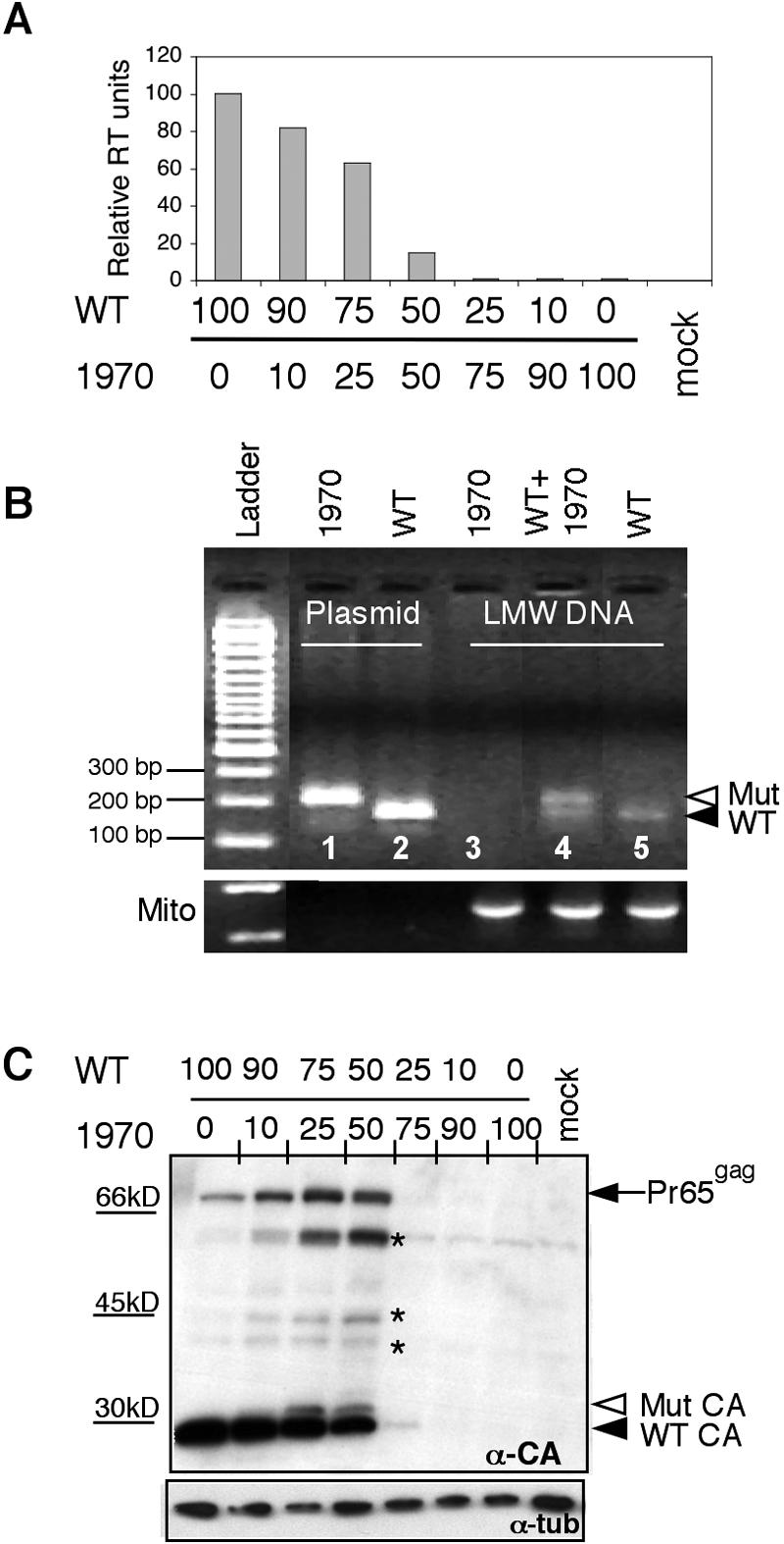 FIG. 5.