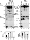 FIG. 2.