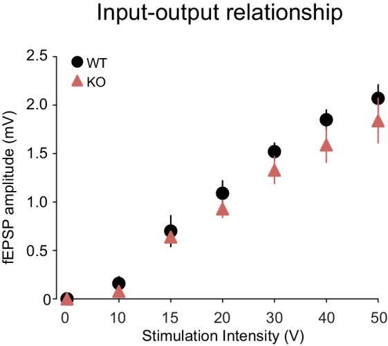 Figure 4—figure supplement 1.