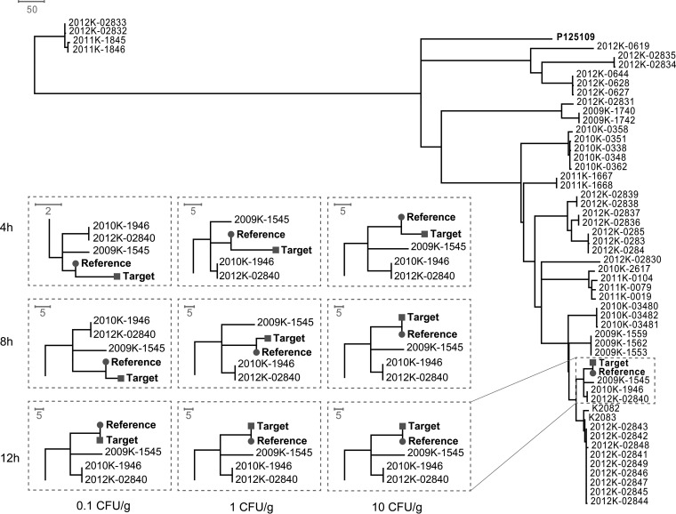 FIG 2