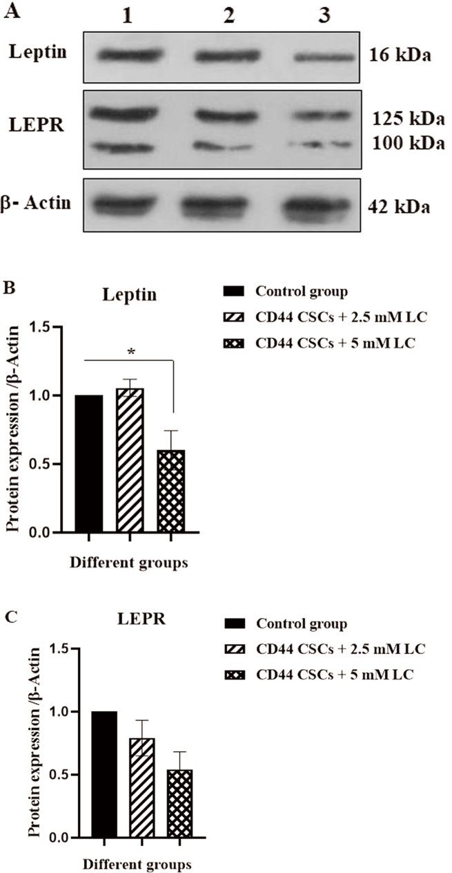 Fig. 6