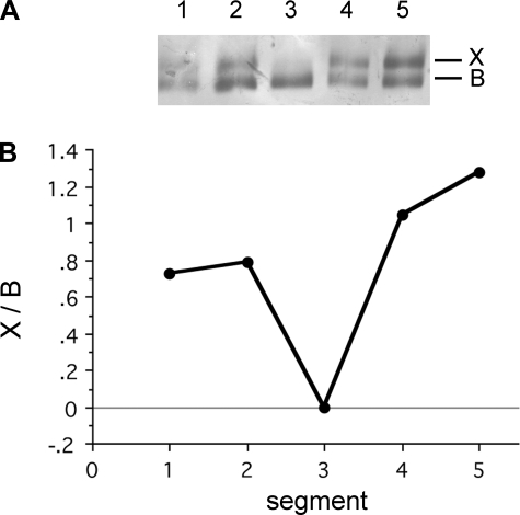 Fig. 8.