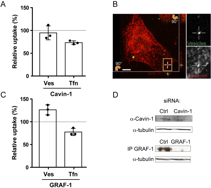 FIG 6 