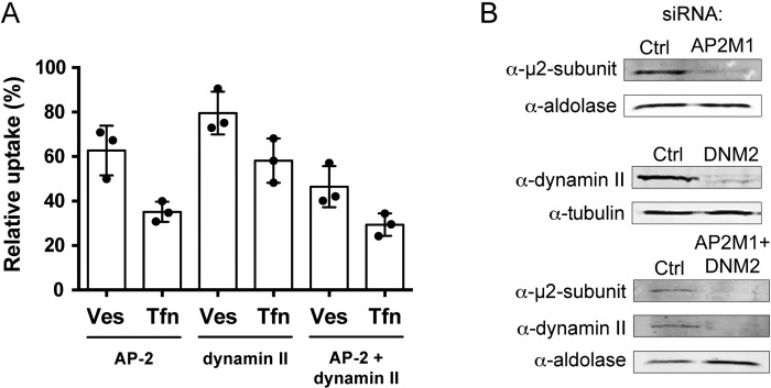 FIG 5 