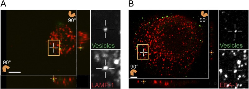 FIG 3 