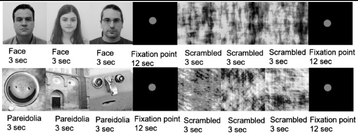 Fig.1