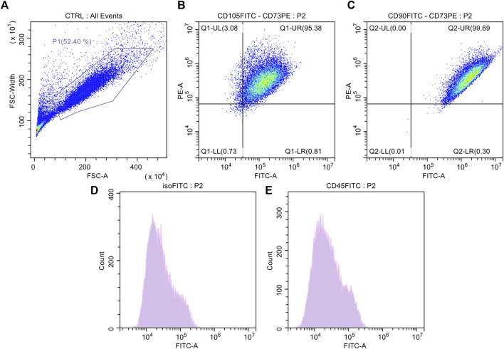 FIGURE 4