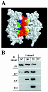 FIG. 4.