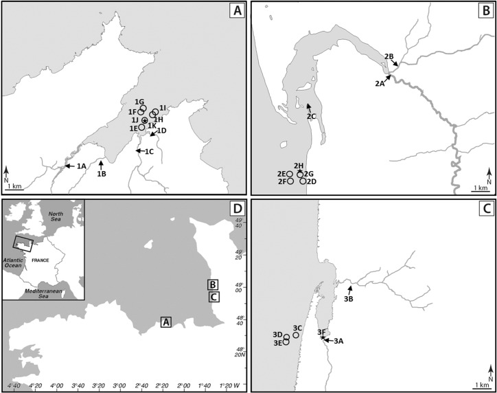 FIGURE 1