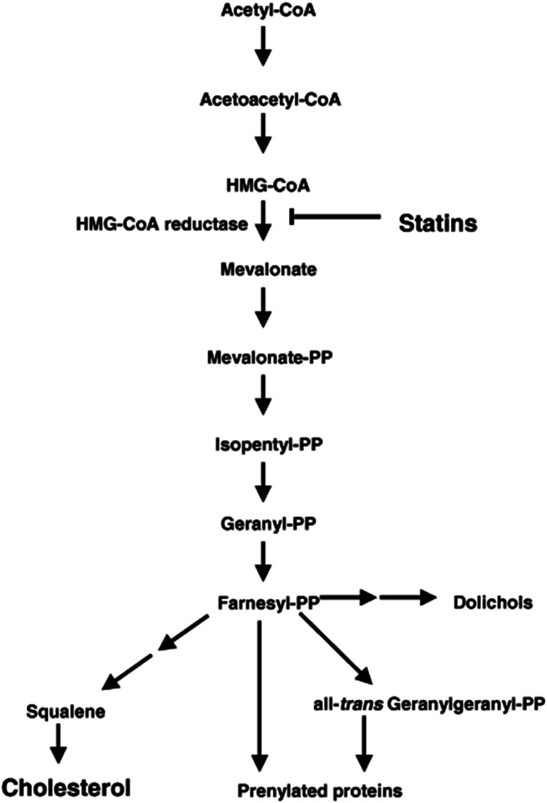 Fig. 14