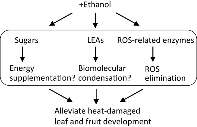 Figure 6
