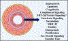 Fig. 2:
