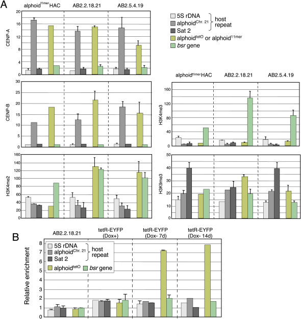 Figure 2