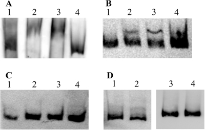 FIG. 8.