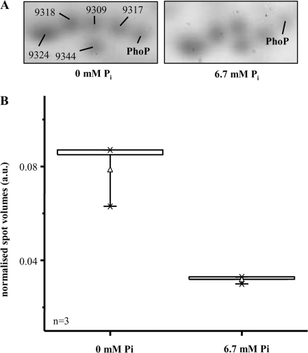 FIG. 4.