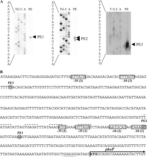 FIG. 5.