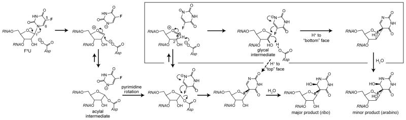 Scheme 2