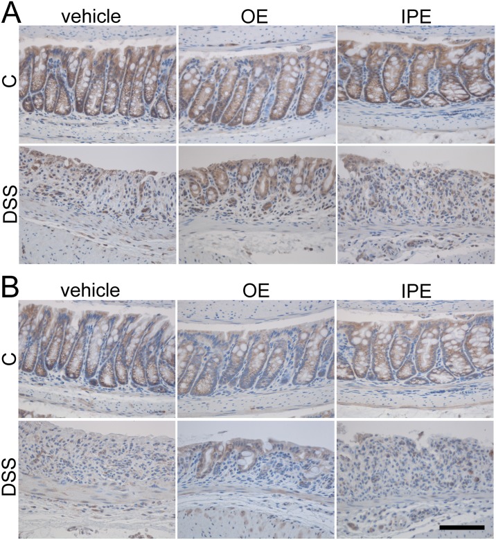 Fig 11