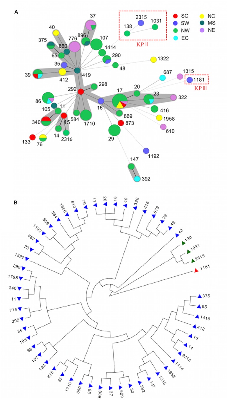 FIGURE 1