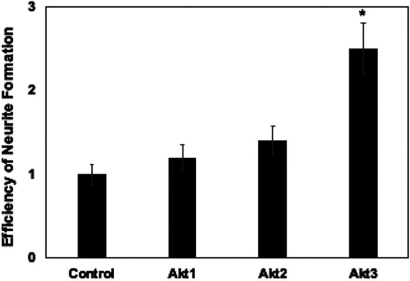 FIG 5