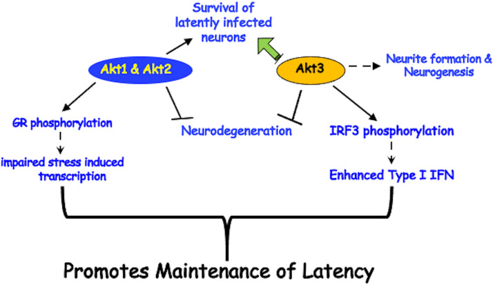 FIG 6