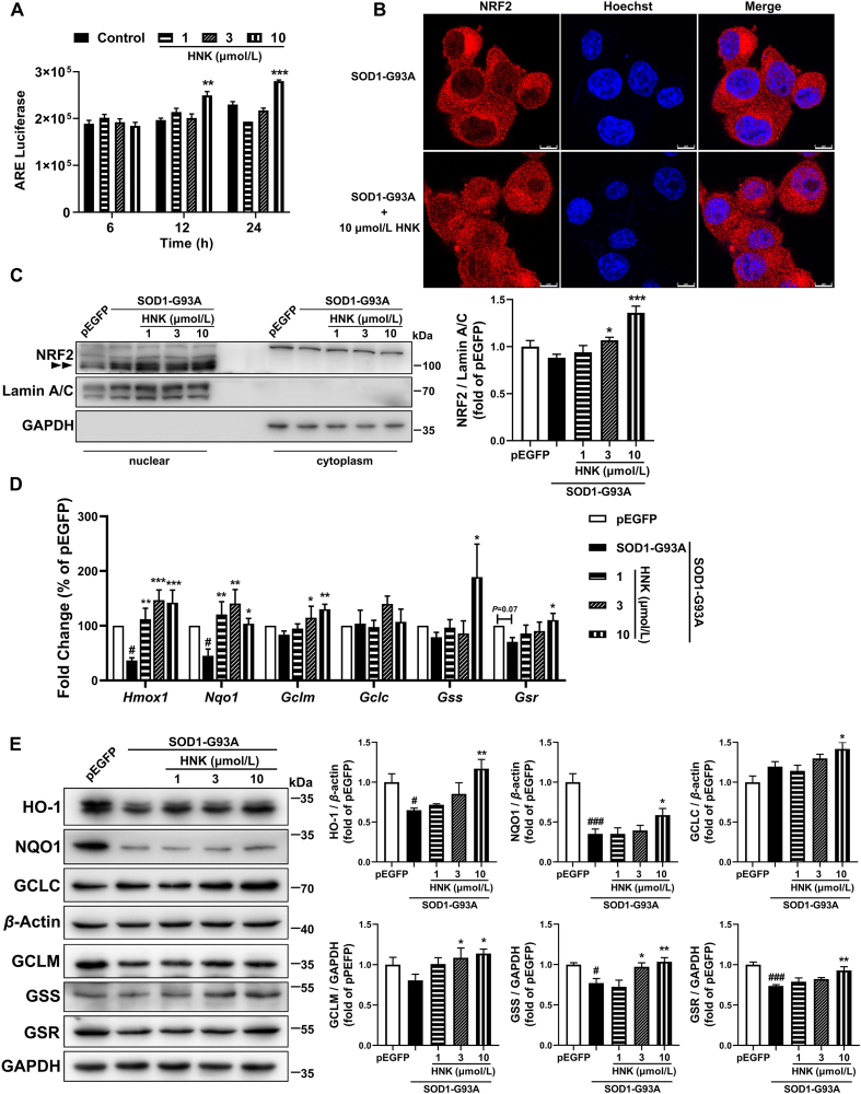 Figure 5