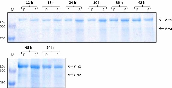 Figure 6