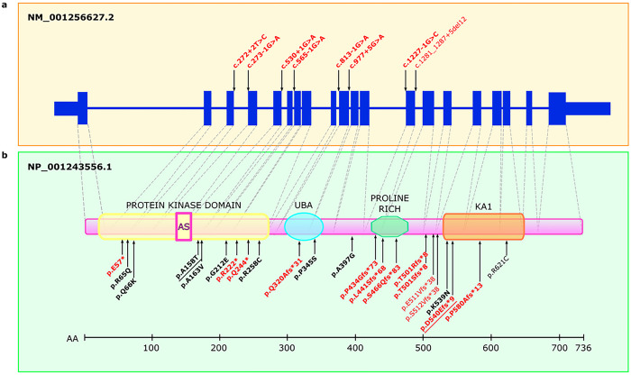 Figure 4: