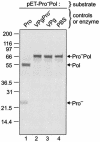 FIG. 5.