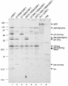 FIG. 4.