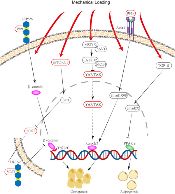 FIGURE 2