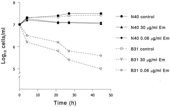 FIG. 1.