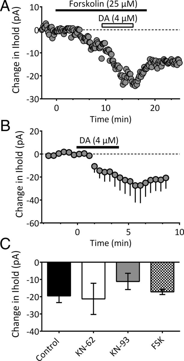 Figure 5.