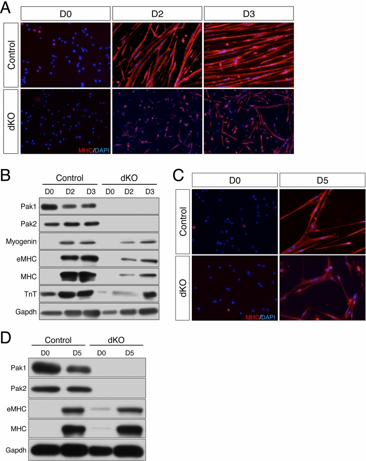 FIG 8