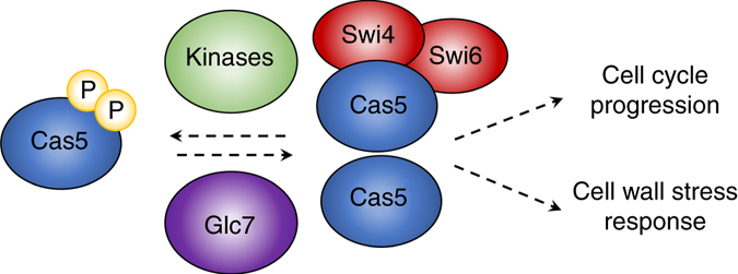 Fig. 10