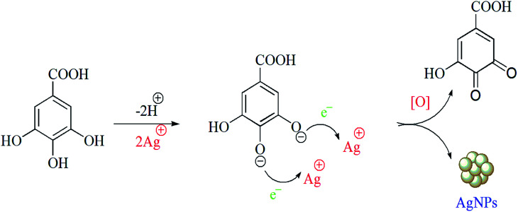 Scheme 2