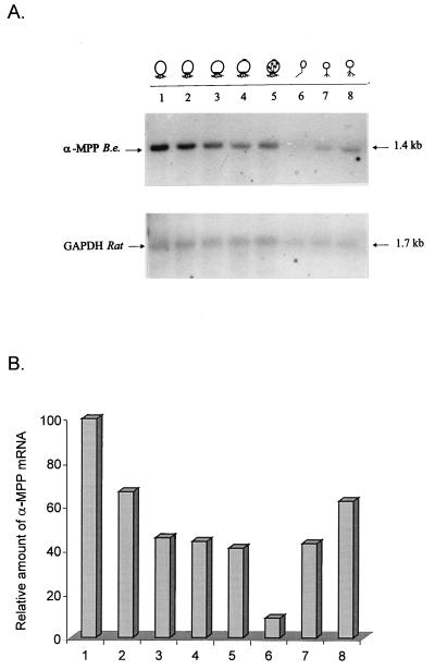 FIG. 5