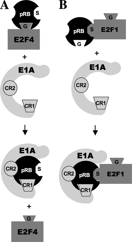 FIG. 7.