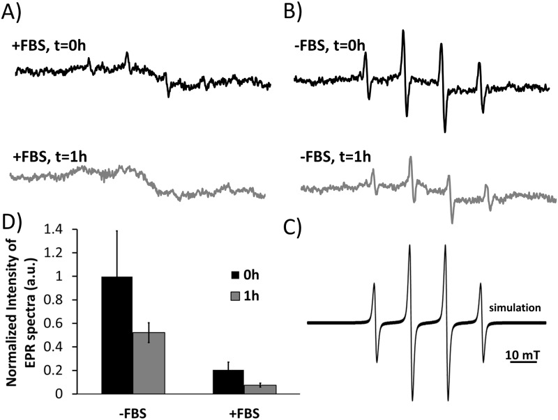 Fig 7