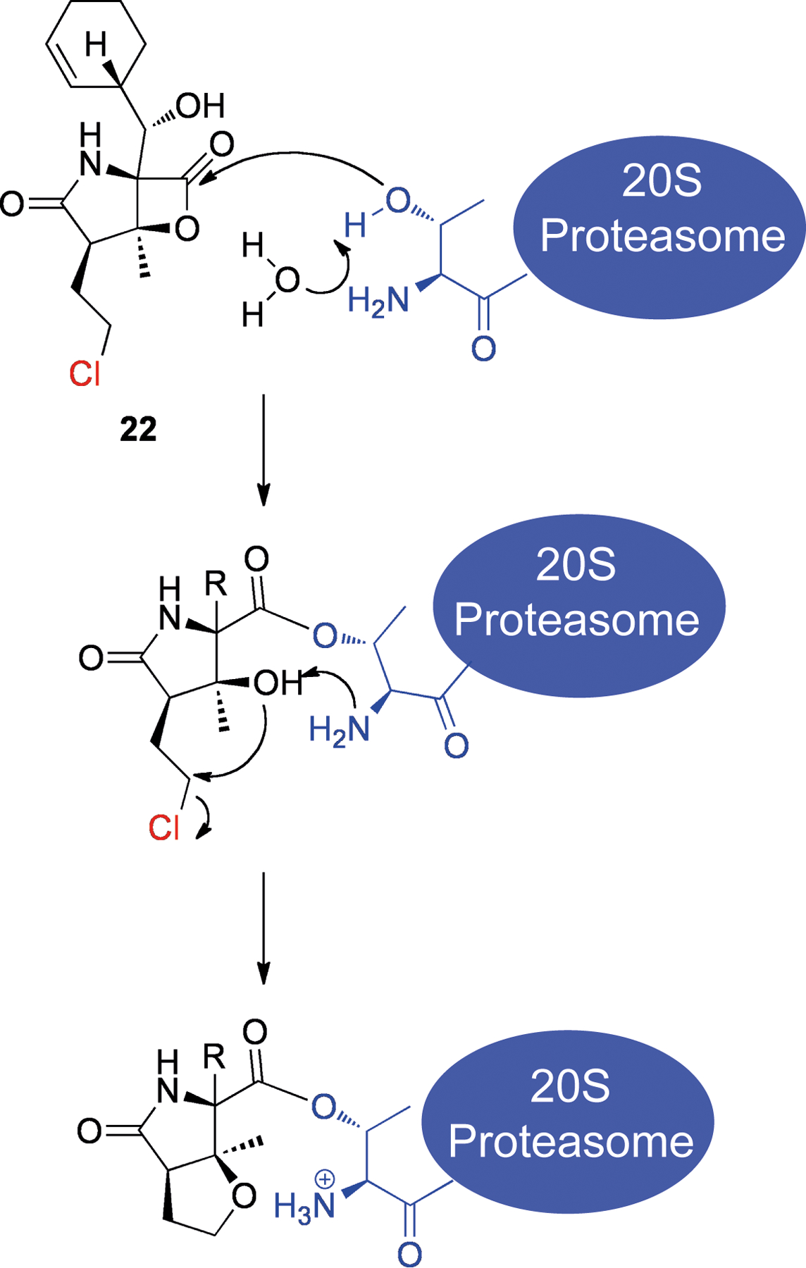 Scheme 4.