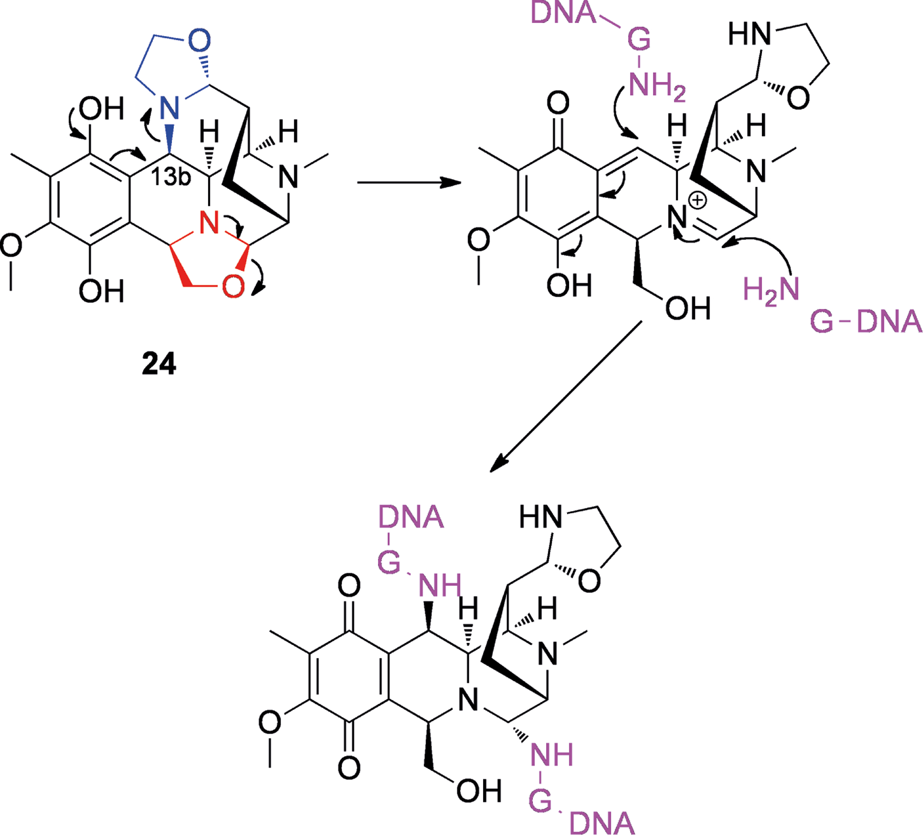 Scheme 6.