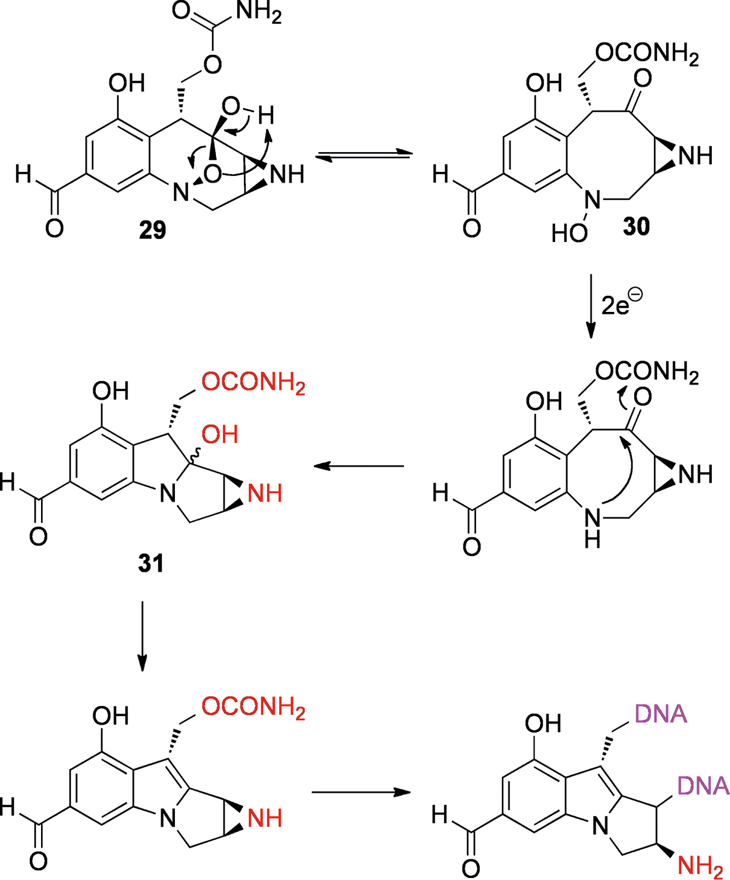 Scheme 9.