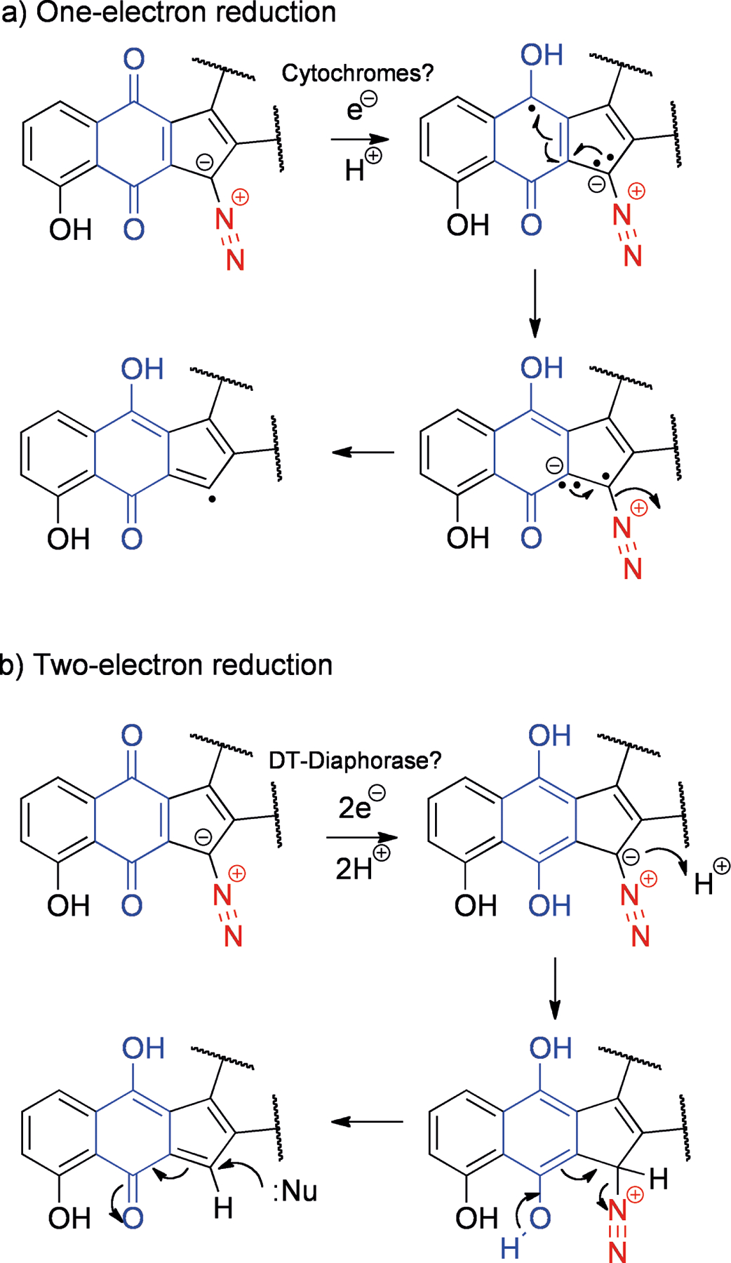 Scheme 7.