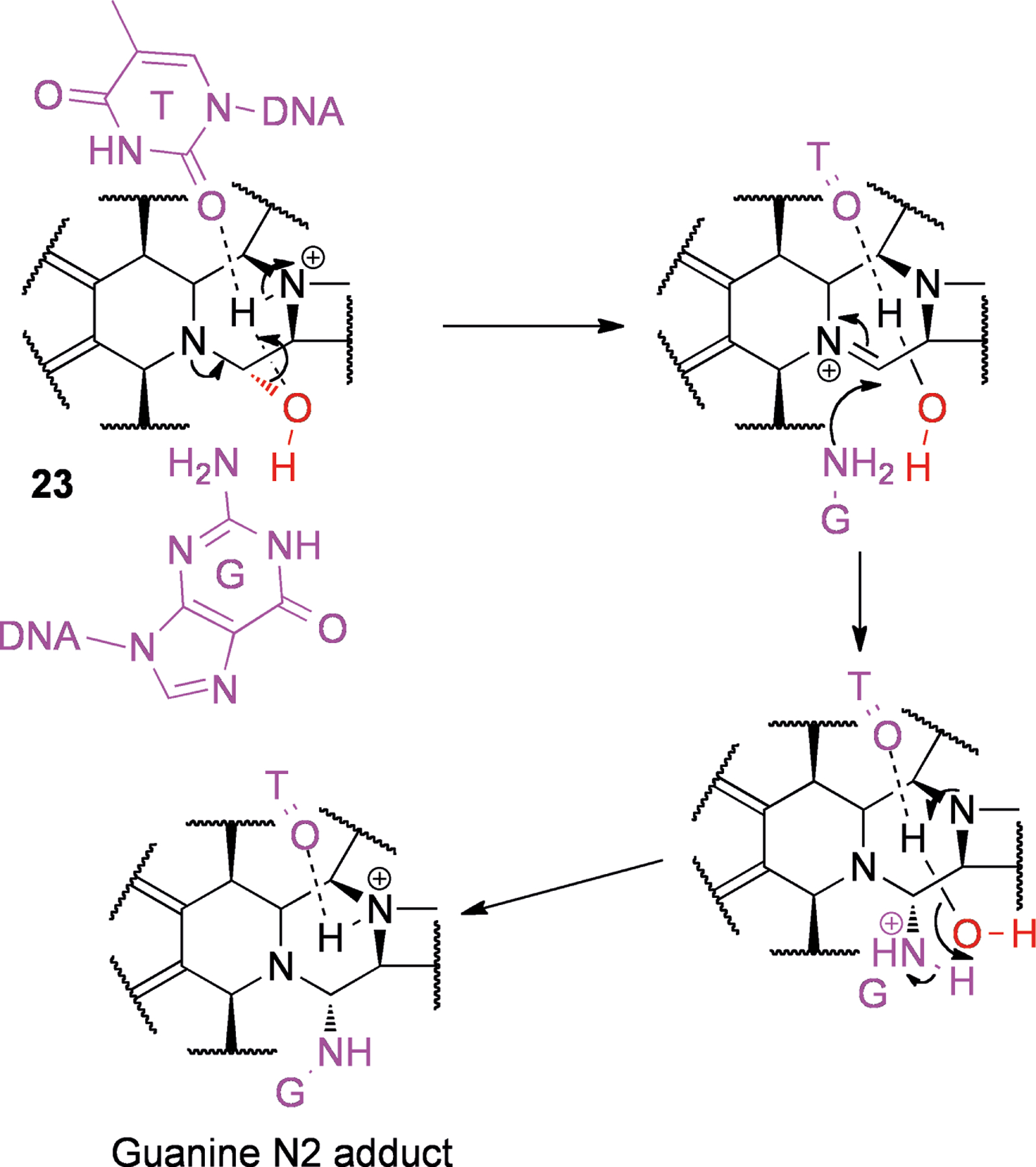 Scheme 5.