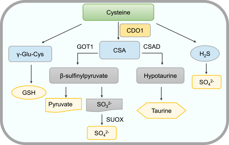 Fig. 3